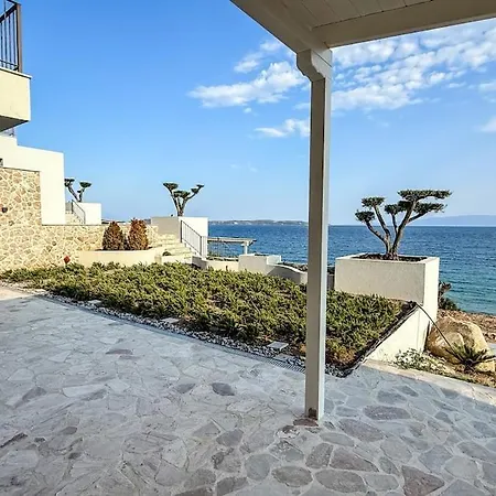 Eosea Selene * Ierissós